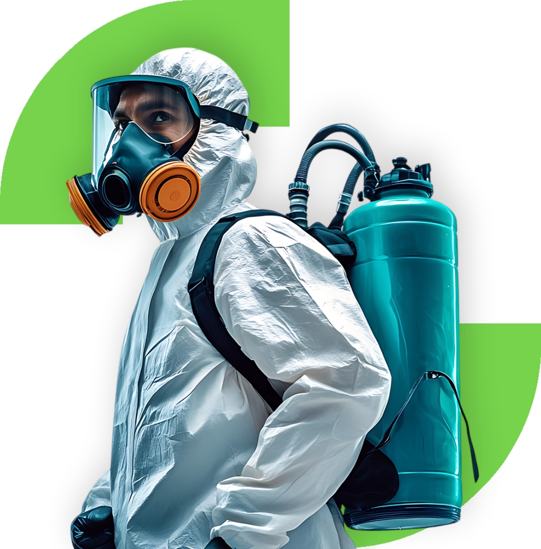 Sanit Pro Rio - Dedetizadora no Rio de Janeiro // Descupinização