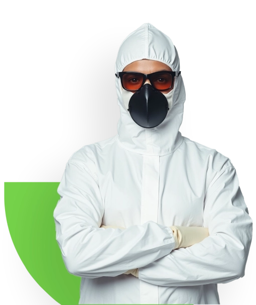 Sanit Pro Rio - Dedetizadora no Rio de Janeiro // Descupinização